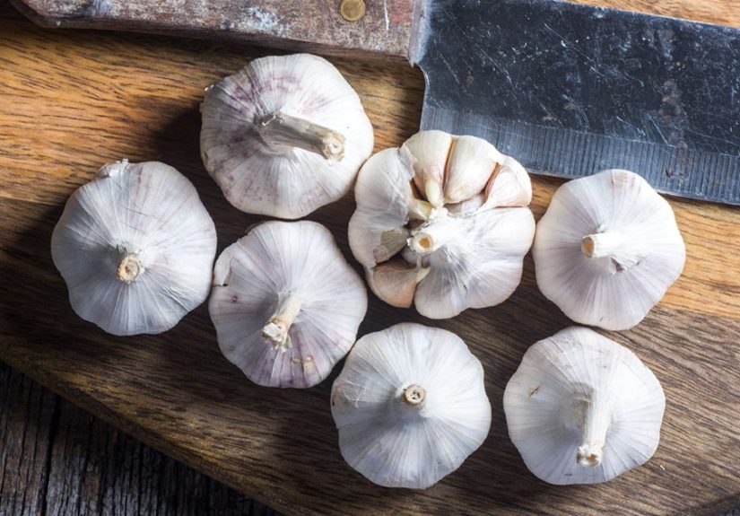 16 Home Remedies for Warts You Can Try Today