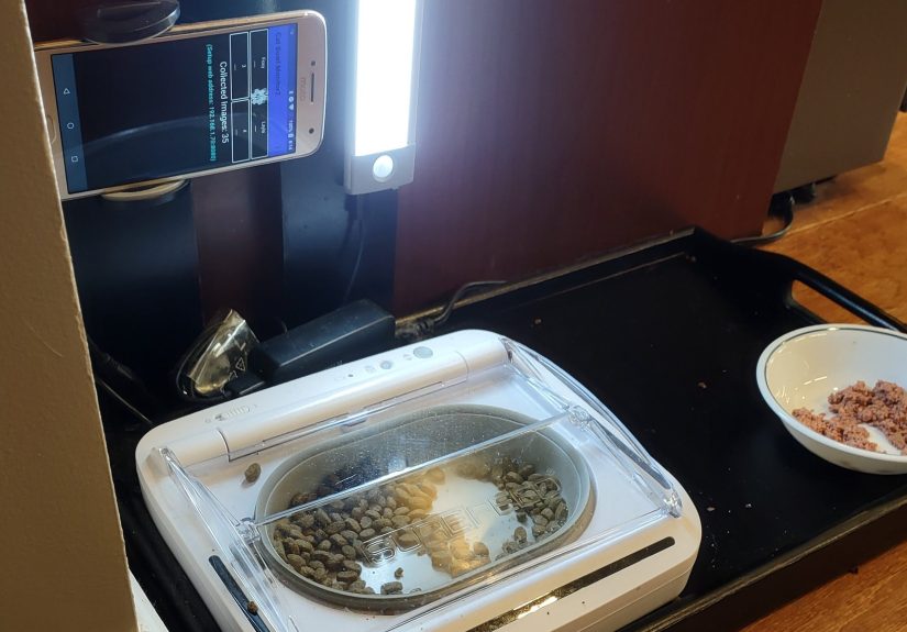 2025 Pet Hacks Contest: Feline Facial Recognition Foils Food Filching