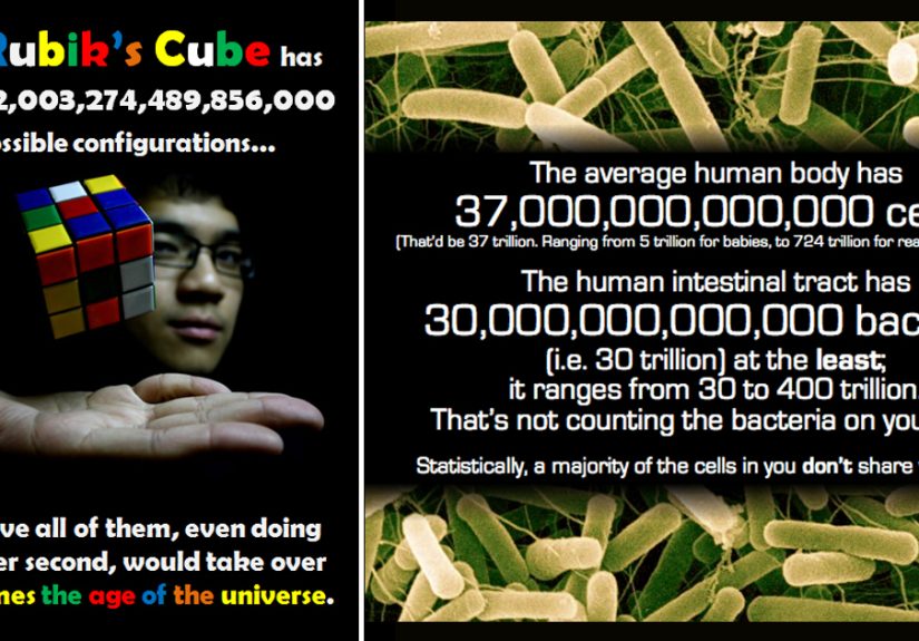 23 Insane (But True) Statistics