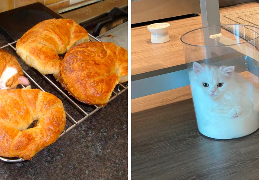 50 Delicious-Looking &lsquo;Foods&rsquo; You Should Never Ever Eat