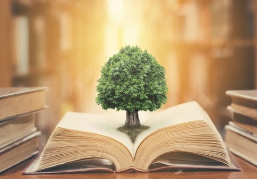 A Look Inside the Teaching Professor Collections