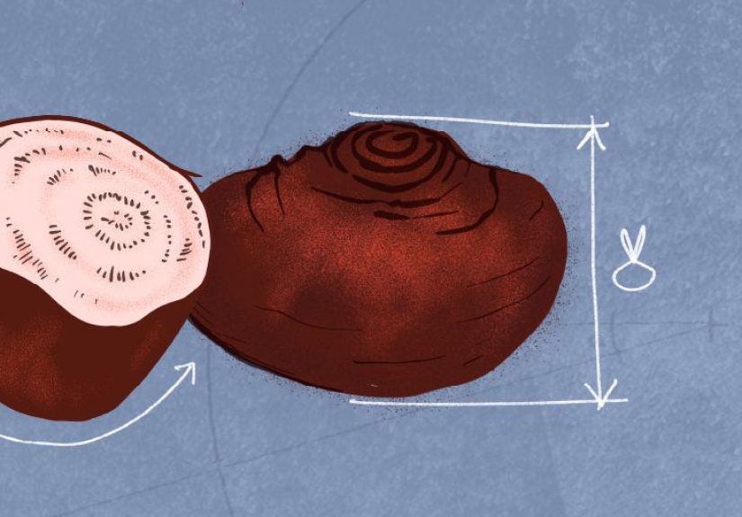 Alimentos como medicina, un concepto discutido