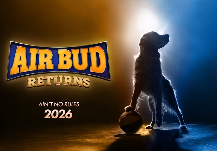 Calling All Golden Retriever Owners: Your Dog Could Be the Next Air Bud