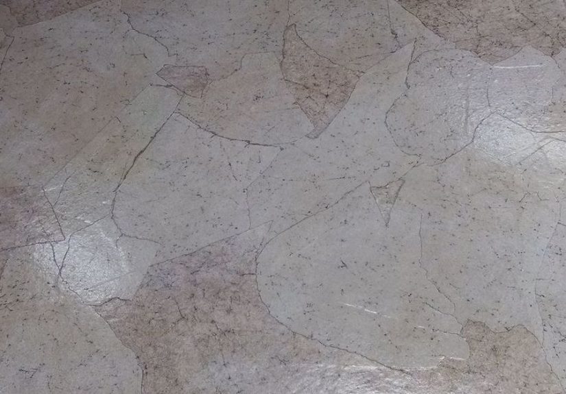 Dog Salon Paper Floor