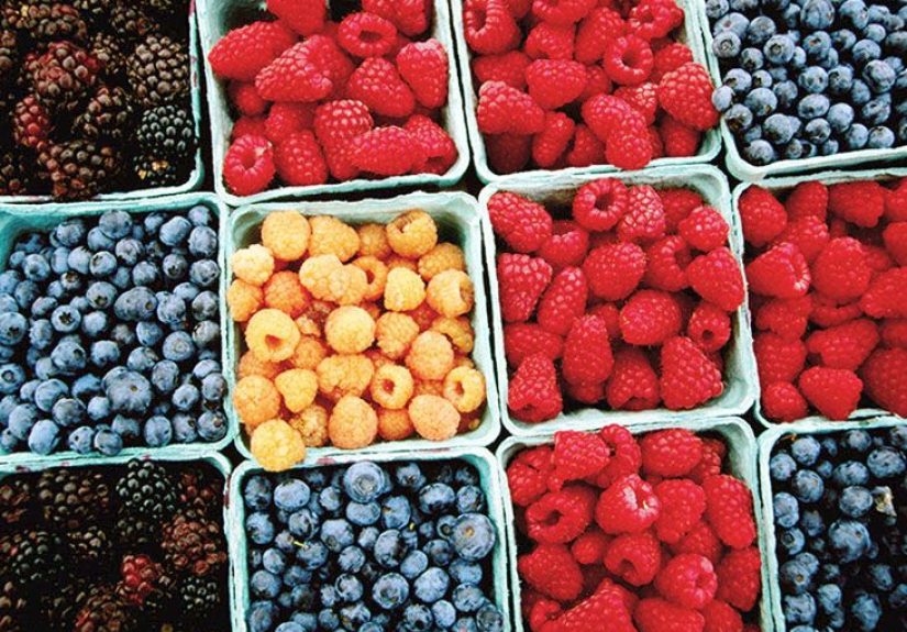 Fruit and Cancer Treatment: Can It Help?