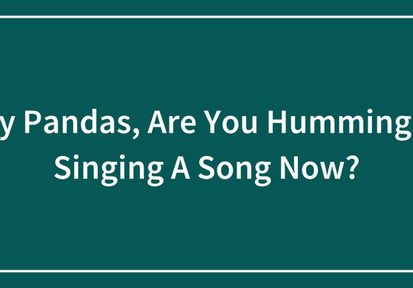 Hey Pandas, Are You Humming Or Singing A Song Now?