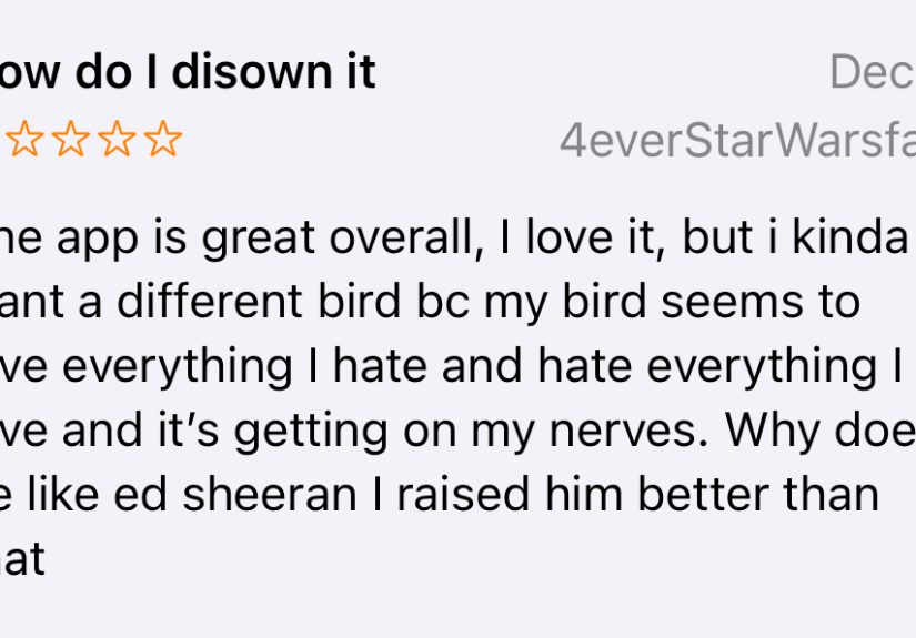 Hey Pandas, Create A Stupid Review/Find A Stupid Review For An App