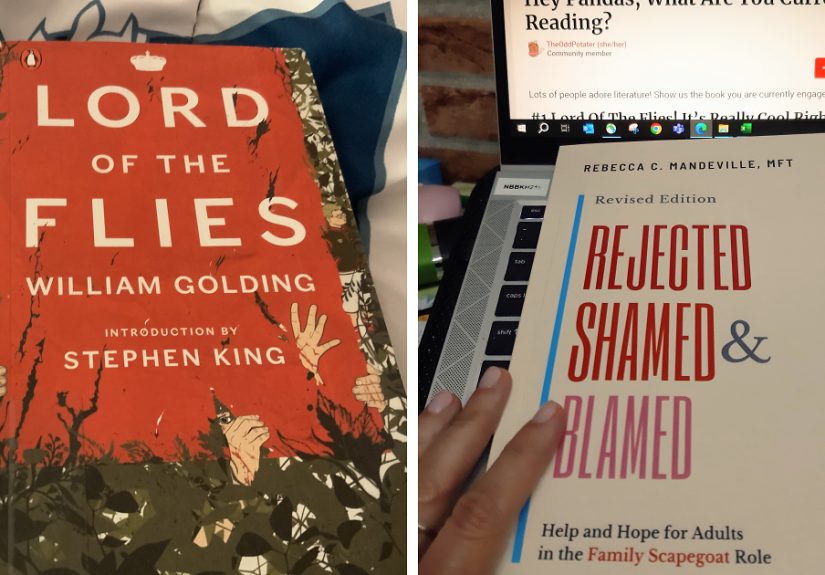 Hey Pandas, What Are You Currently Reading?