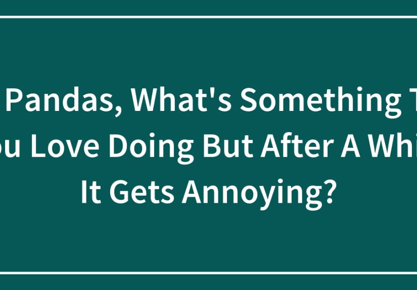 Hey Pandas, What’s Something That You Love Doing But After A While It Gets Annoying?