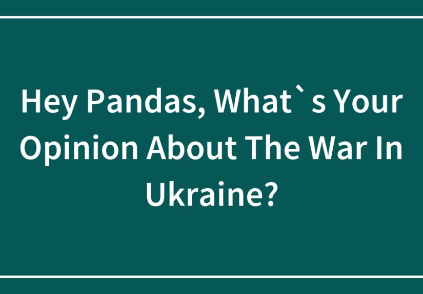 Hey Pandas, What’s Your Opinion About the War in Ukraine?