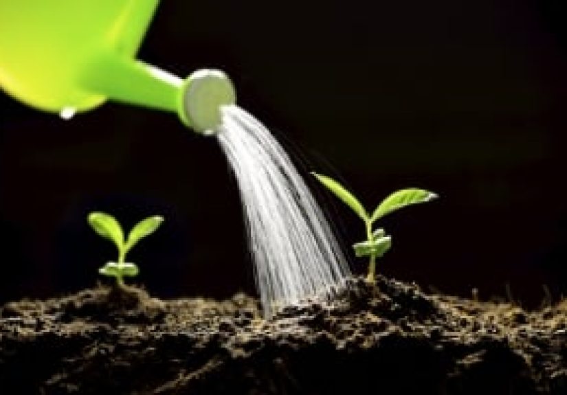 How HubSpot's Marketing Team Does Lead Nurturing
