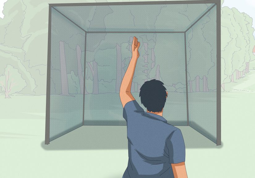 How to Bowl Fast in Cricket: 14 Steps