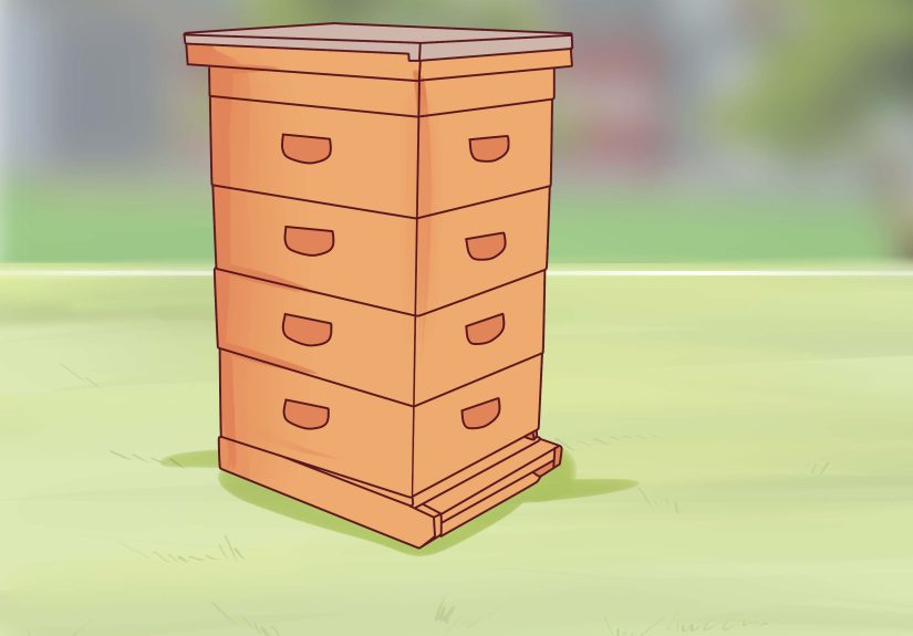 How to Make a Honey Bee Box
