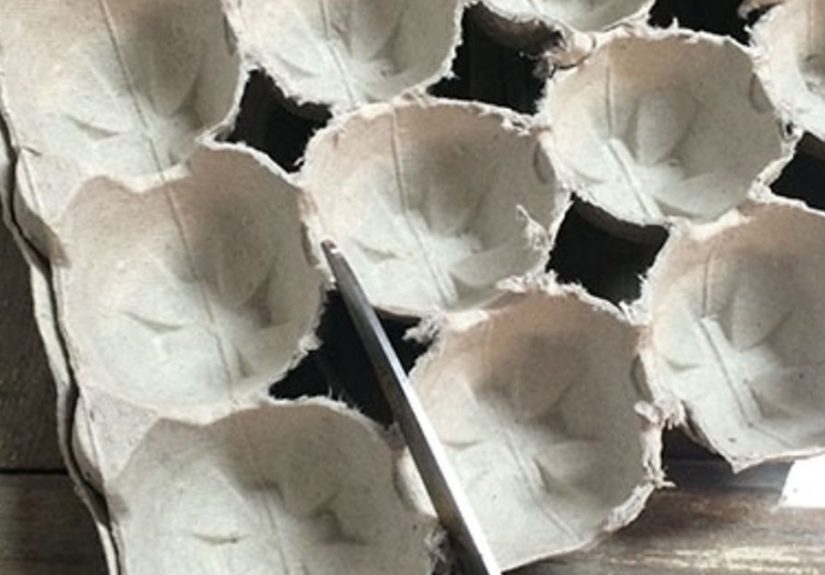 How to Make Upcycled Egg Carton Flowers in a Few Easy Steps