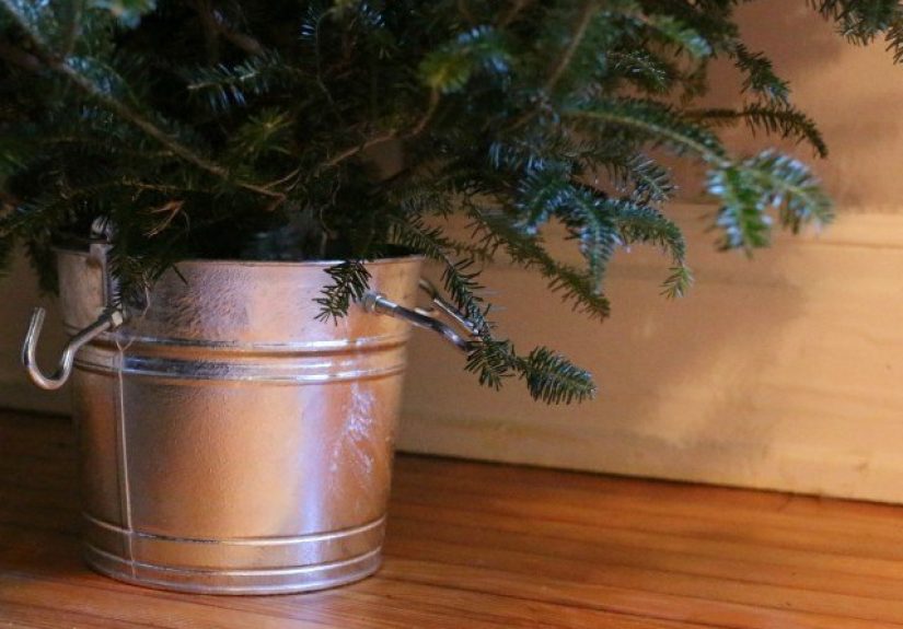 How to Make Your Own Christmas Tree Stand