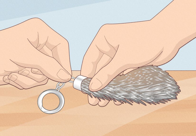How to Perform Salt Cure Taxidermy: 6 Steps