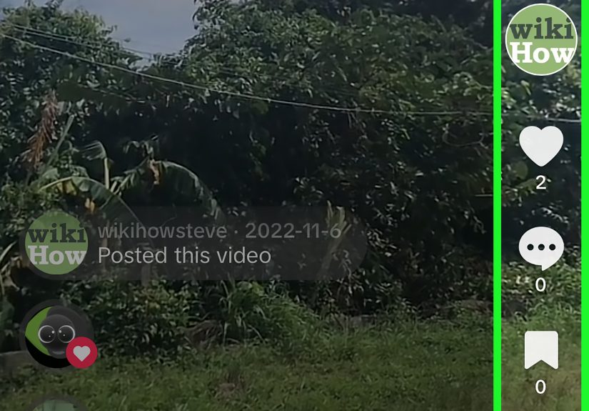 How to See All Your Reposts on TikTok: Quick Guide