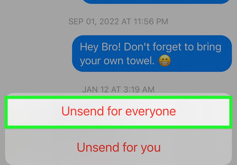 How to Unsend a Text on iPhone iOS 16 or Android