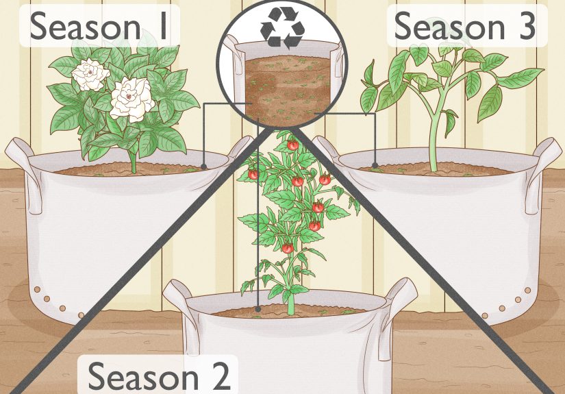 How to Use Growing Bags for Plants: Step-by-Step Guide