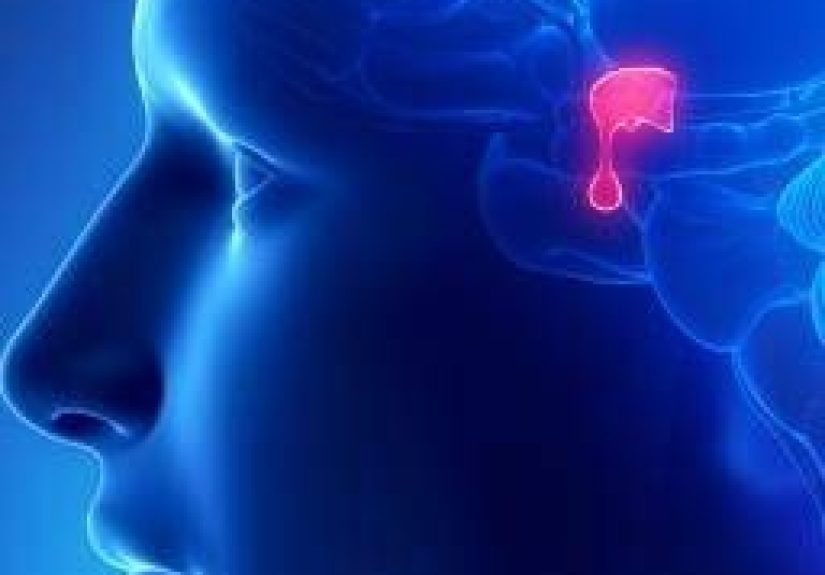 Hypophysectomy: Procedure, Recovery, and Complications