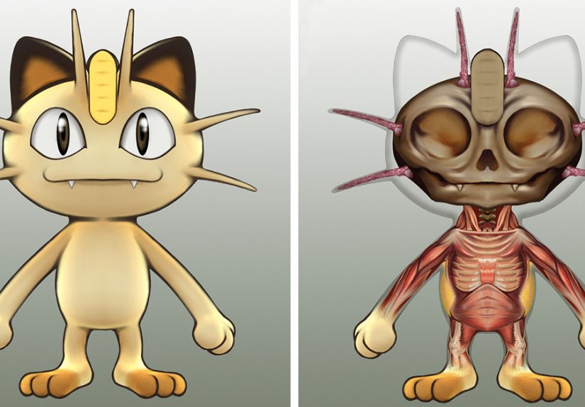 I Make Pokémon Anatomy Gifs To Help Kids Interested In Biology