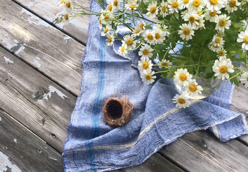 Letter of Recommendation: The One Thing I Always Bring Home From Vacation, Budget Edition