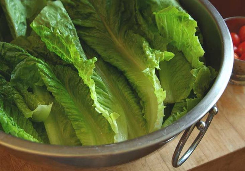 Romaine Lettuce: Nutrition, Calories, and Recipes