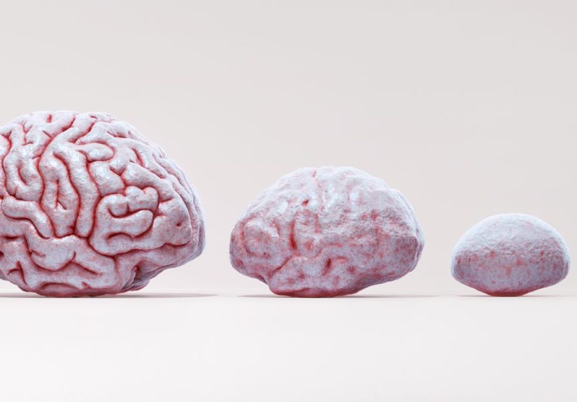 Scientists Discovered the Human Brain Goes On a Life-Long “Eras Tour”