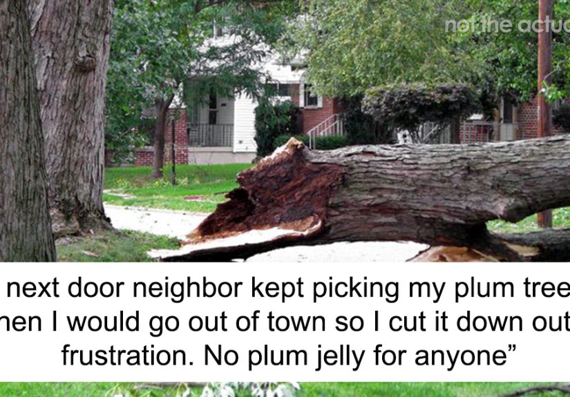 Someone Online Asked “What’s Your ‘If I’m Going Down I’m Taking You With Me’ Story?”, And 35 Folks Delivered