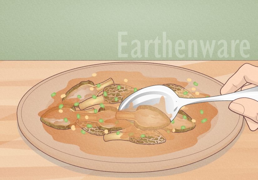 Stoneware vs Ceramic: Which is Better?