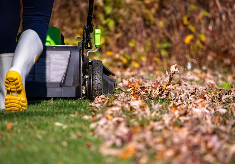 Stop Mowing in Fall? Here’s What Actually Happens to Your Lawn