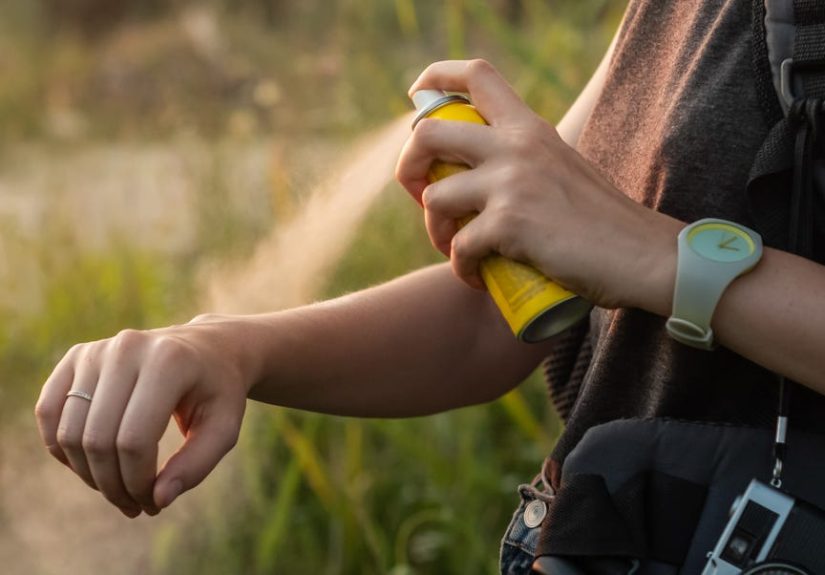 The Best Insect Repellent in 2023 - Best Bug Spray