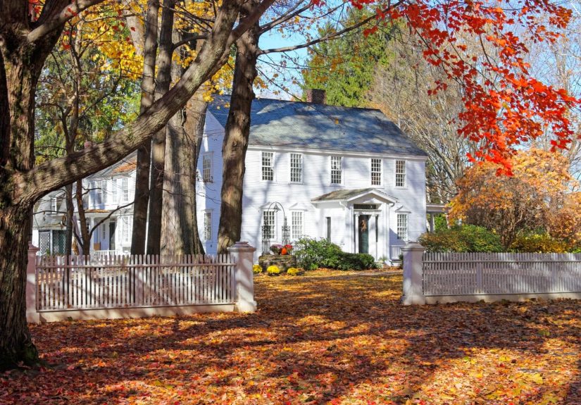 The Best Tools You Can Use To Collect Autumn Leaves