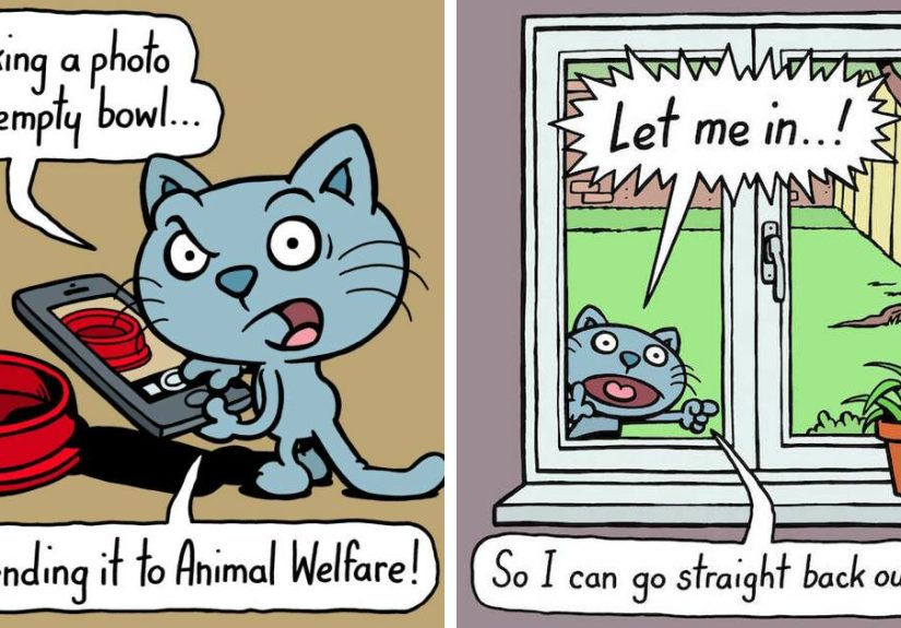 These One-Panel Cat Comics By Anthony Smith Purrfectly Capture What Having A Cat Is Like (40 Pics)