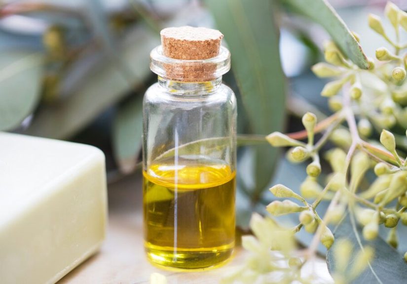 Tick Repellent Essential Oils: Which Ones Work Best