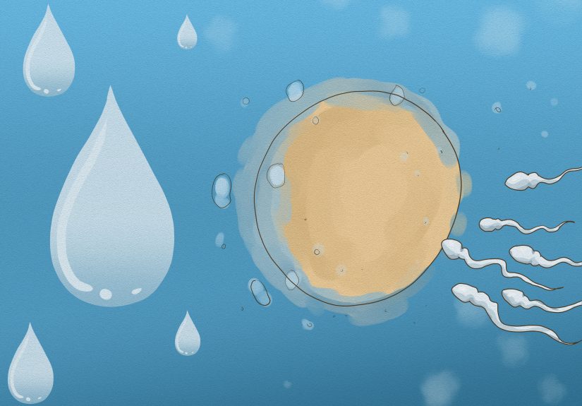 What Does Dreaming About Rain Mean? Common Interpretations