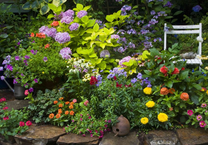 Why Overplanting Is The Biggest Landscaping Mistake You Can Make