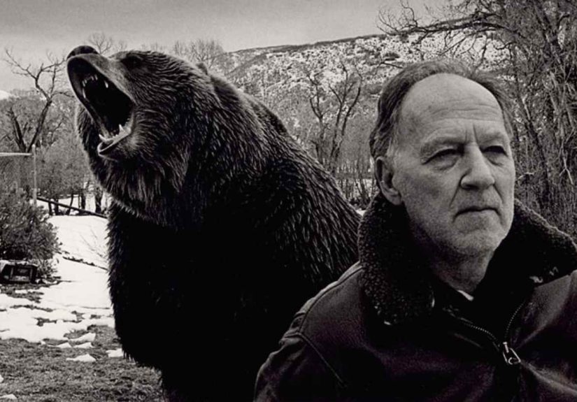 10 Fascinating Facts About Grizzly Man