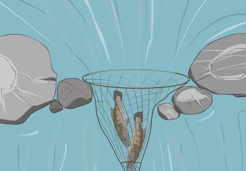 4 Ways to Catch Fish Without Using a Rod