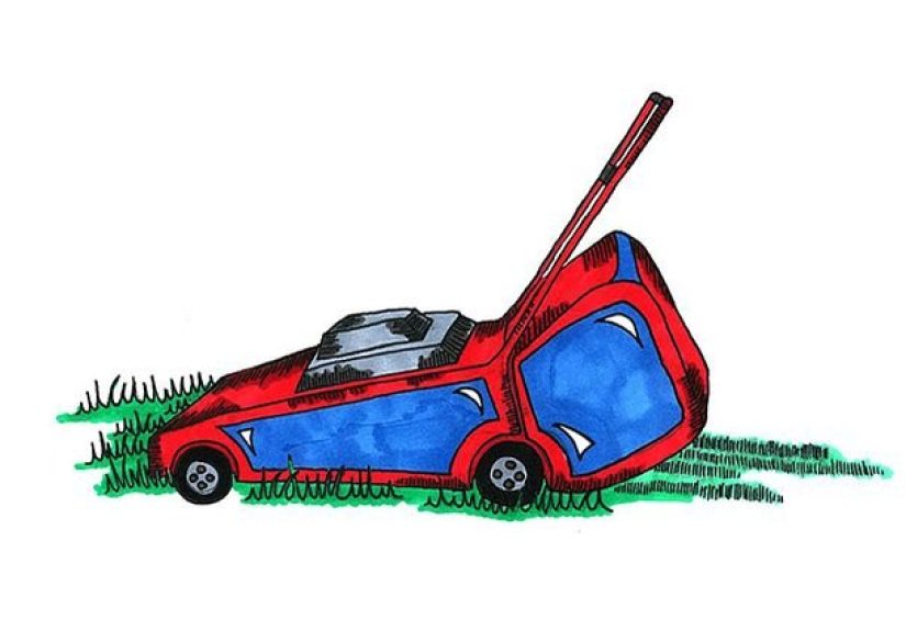 7 Tips to Keep Your Lawn From Turning Brown