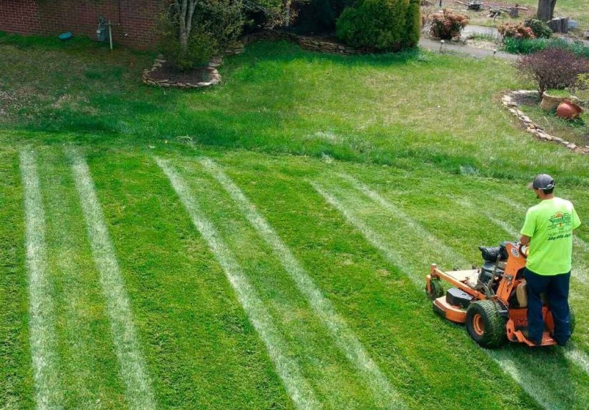 8 Awesome Lawn Mowing Designs