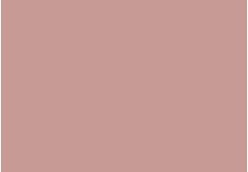 Cinder Rose No. 246 Paint