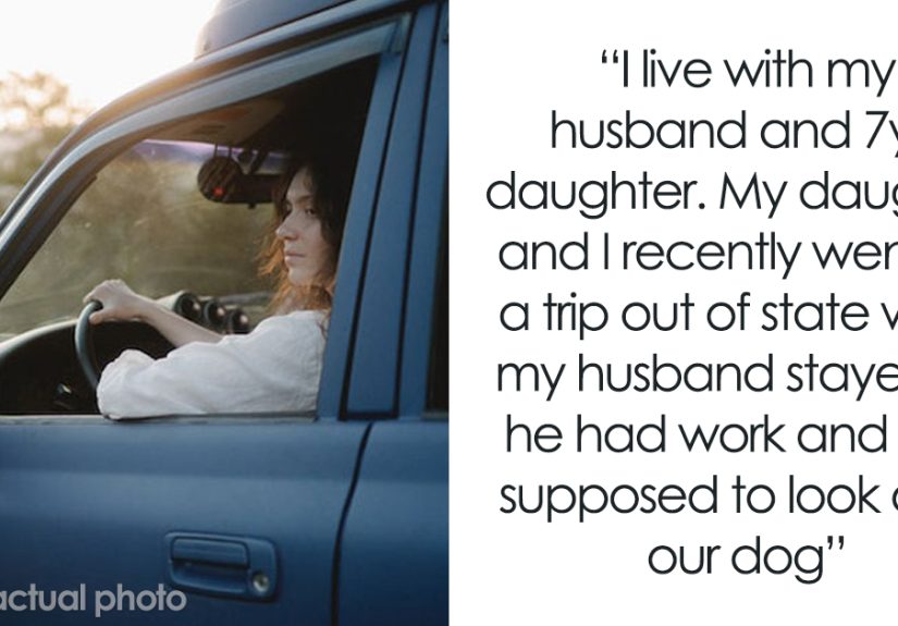 “Find A Farm And Have A Better Life”: Woman Shocked After She Checked Husband’s Dashcam Footage
