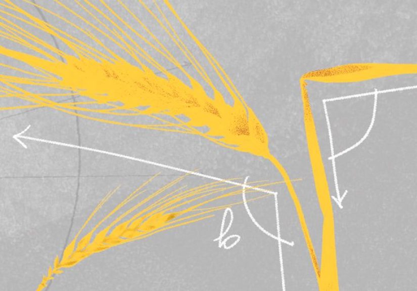 Gluten Sensitivity: Does It Exist?