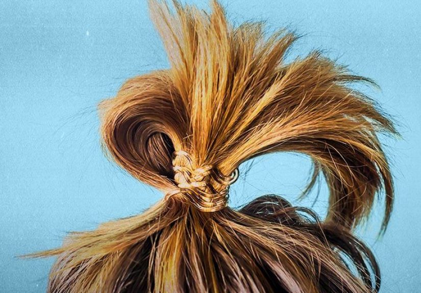Hair Follicle Drug Test: How It Works, What to Expect, and Accuracy