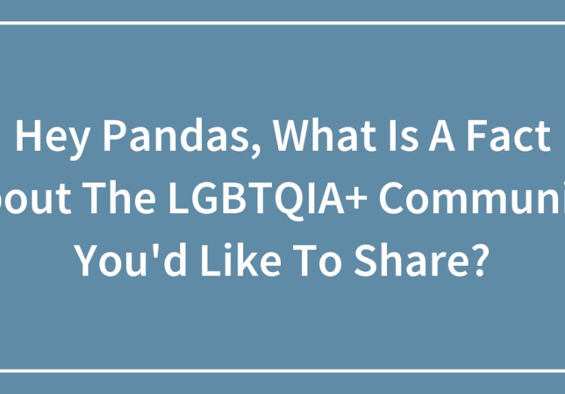 Hey Pandas, What Is A Fact About The LGBTQIA+ Community You’d Like To Share?