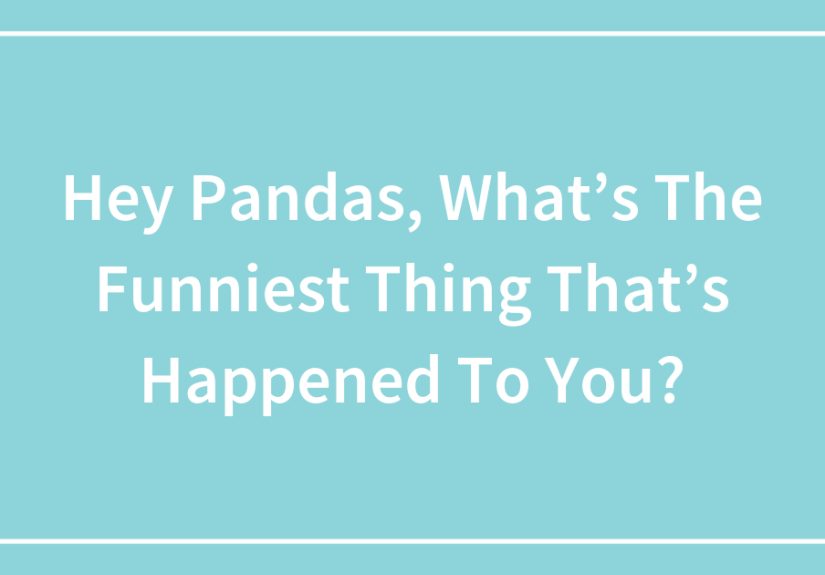 Hey Pandas, What’s The Funniest Thing That’s Happened To You?