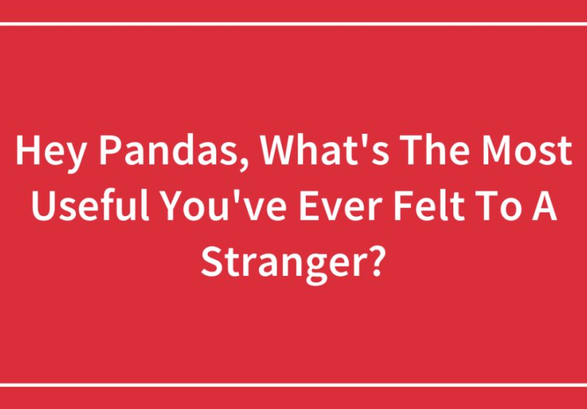 Hey Pandas, What&rsquo;s The Most Useful You&rsquo;ve Ever Felt To A Stranger?