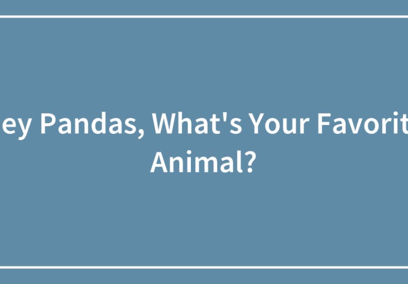 Hey Pandas, What’s Your Favorite Animal?
