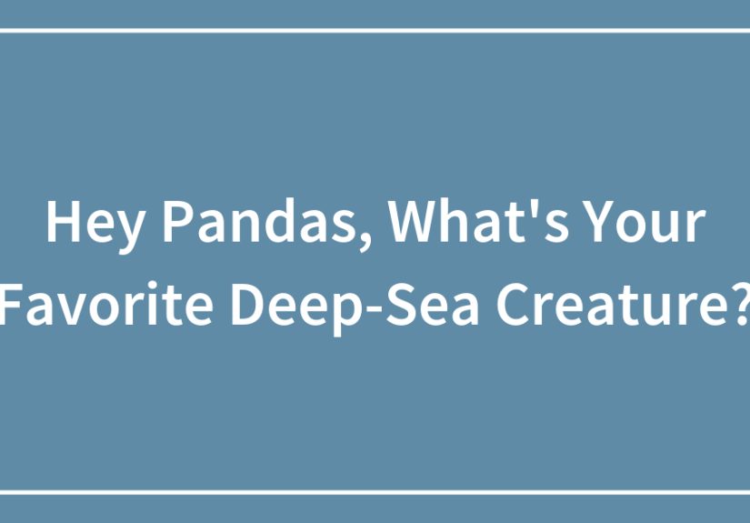 Hey Pandas, What’s Your Favorite Deep-Sea Creature?